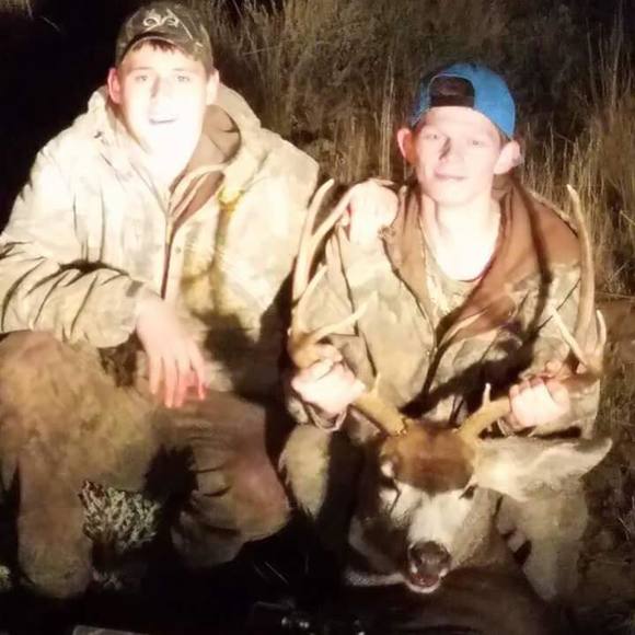 Meet your Posher, Levi - Picture 1 of 1